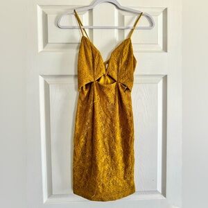 Urban Outfitters Line & Dot Bodycon Lace Dress